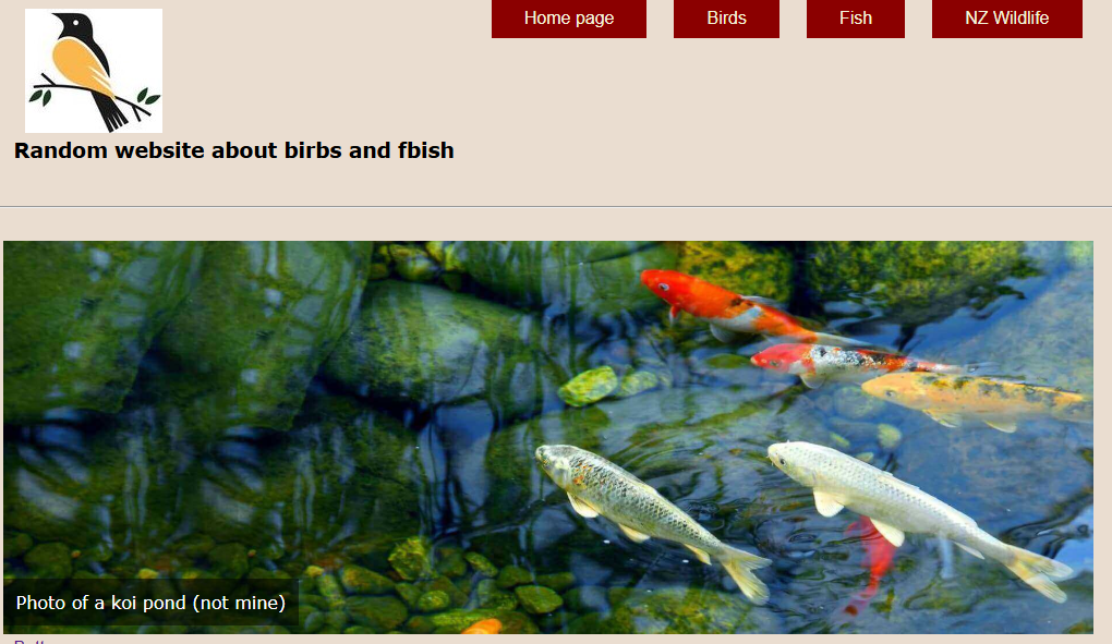 bird and fish website
