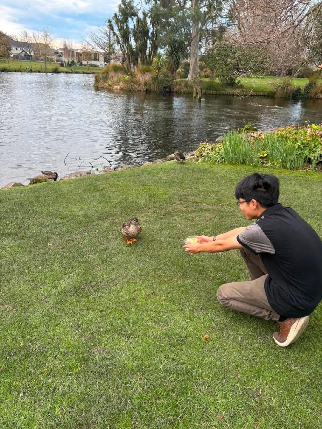  approaching a duck